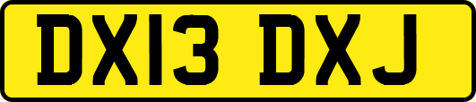 DX13DXJ