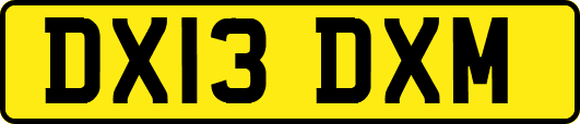 DX13DXM