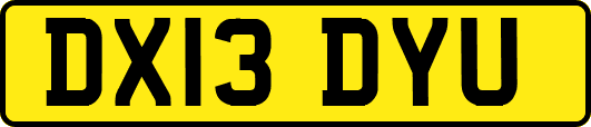 DX13DYU