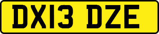 DX13DZE