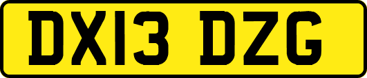 DX13DZG