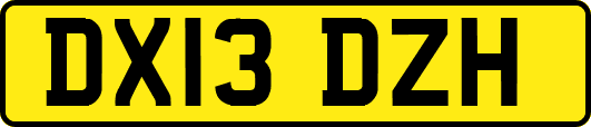 DX13DZH