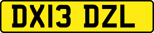DX13DZL