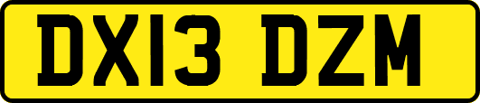 DX13DZM