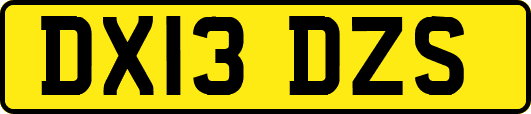 DX13DZS