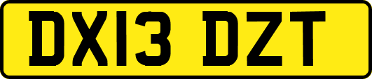 DX13DZT