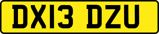 DX13DZU