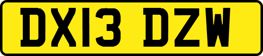 DX13DZW