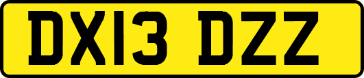 DX13DZZ