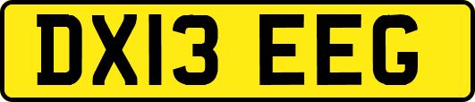 DX13EEG