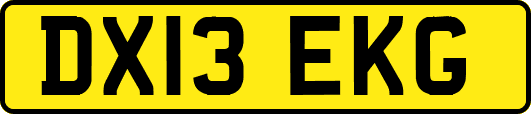 DX13EKG