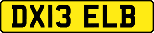 DX13ELB