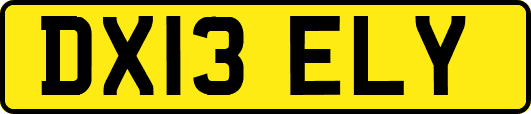 DX13ELY
