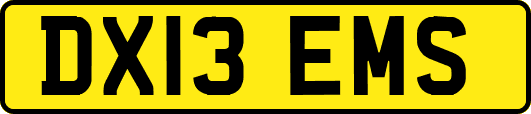 DX13EMS