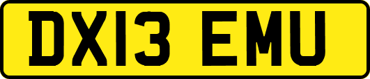 DX13EMU
