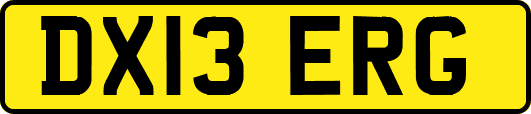 DX13ERG