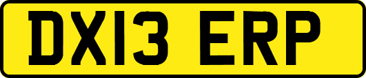 DX13ERP