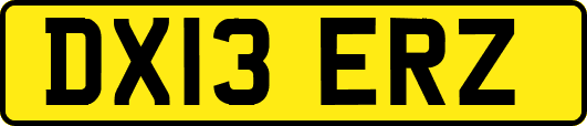 DX13ERZ
