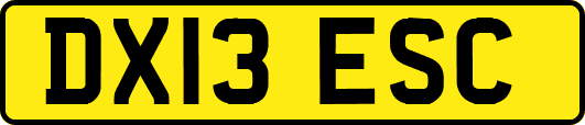 DX13ESC