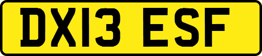 DX13ESF
