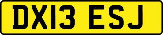 DX13ESJ