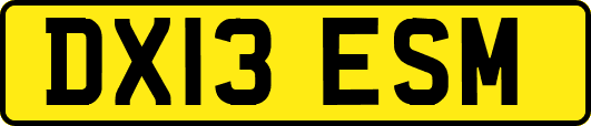 DX13ESM