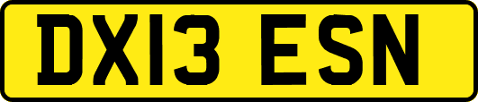 DX13ESN