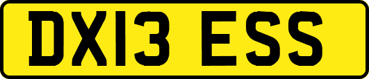 DX13ESS
