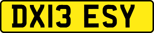 DX13ESY