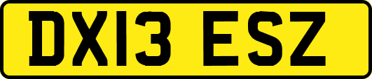 DX13ESZ