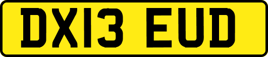 DX13EUD