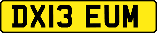 DX13EUM