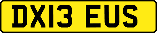 DX13EUS