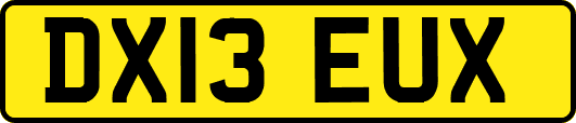 DX13EUX