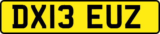 DX13EUZ