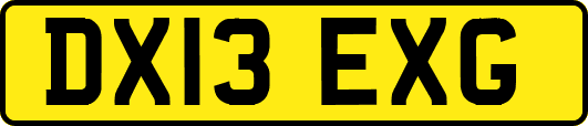 DX13EXG