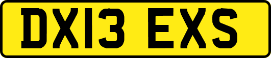 DX13EXS