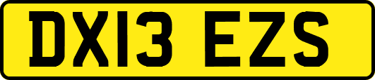 DX13EZS