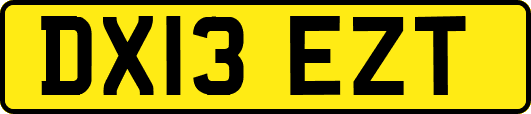 DX13EZT