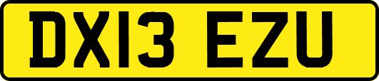 DX13EZU