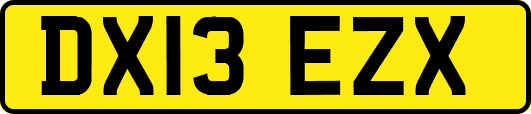 DX13EZX