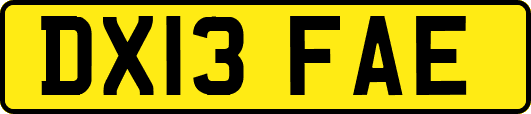 DX13FAE