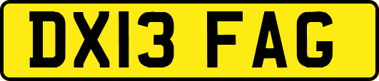 DX13FAG