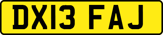 DX13FAJ