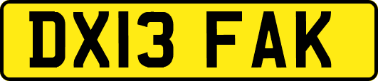 DX13FAK