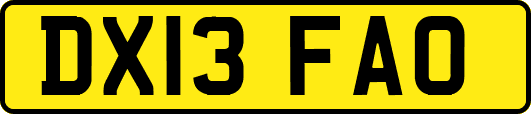 DX13FAO