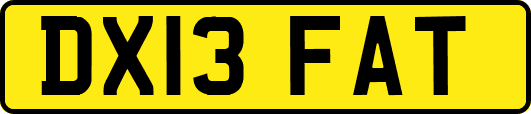 DX13FAT