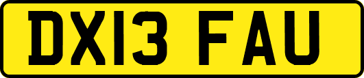 DX13FAU