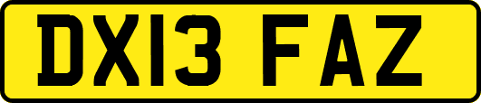 DX13FAZ