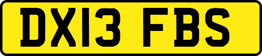 DX13FBS